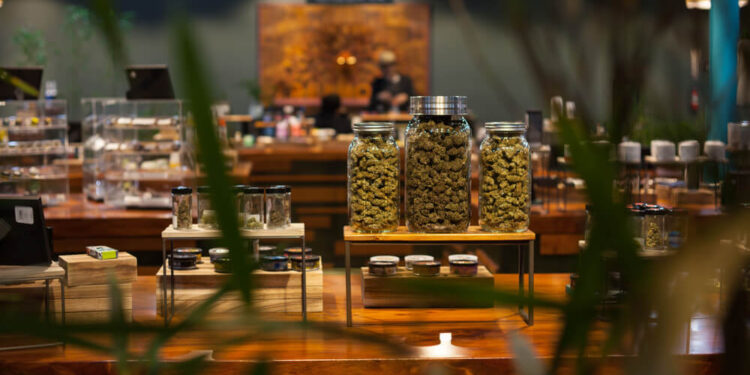 2 important considerations before buying cannabis in a dispensary  